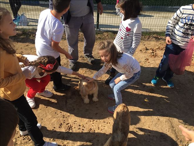 /resimler/2017-10/17/2005279339290.jpg /resimler/2017-10/17/2005279339290.jpg