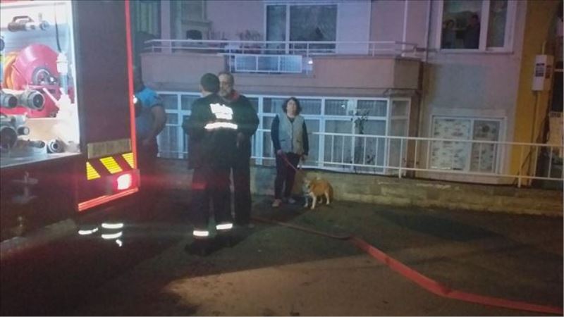 Yangında mahsur kalan köpeği itfaiye ekipleri kurtardı