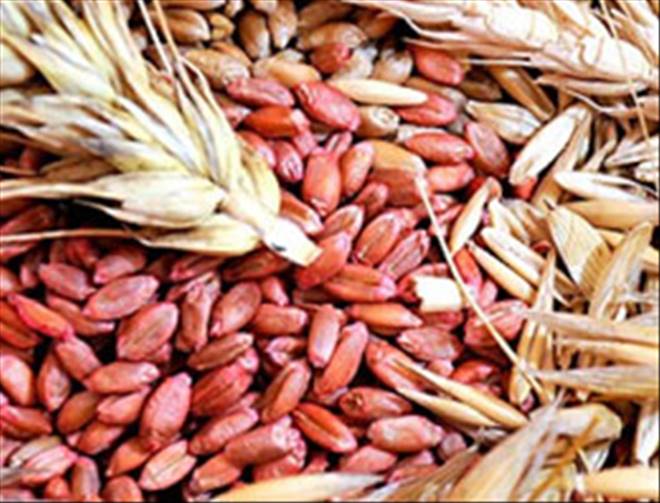 /resimler/2015-2/27/113442552.jpg /resimler/2015-2/27/113442552.jpg