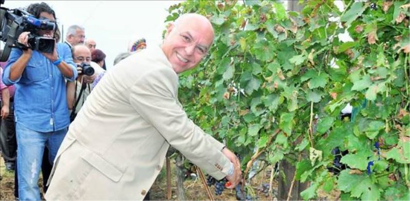 BÖYLE OLUR SÜLEYMANPAŞANIN BAĞBOZUMU