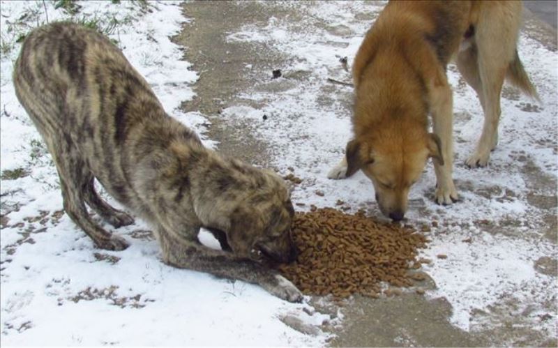 KAPAKLI BELEDİYESİNDEN ÖRNEK DAVRANIŞ 