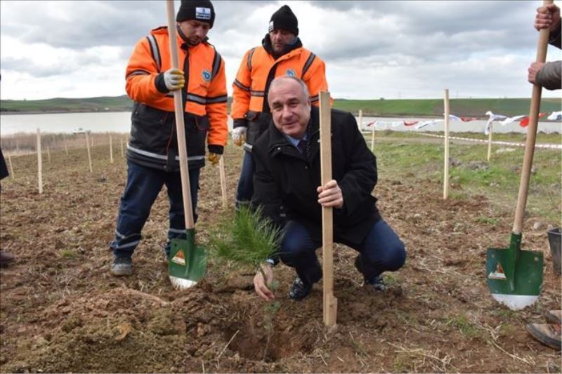 TESKİ 3.700 ADET FİDAN DİKTİ 