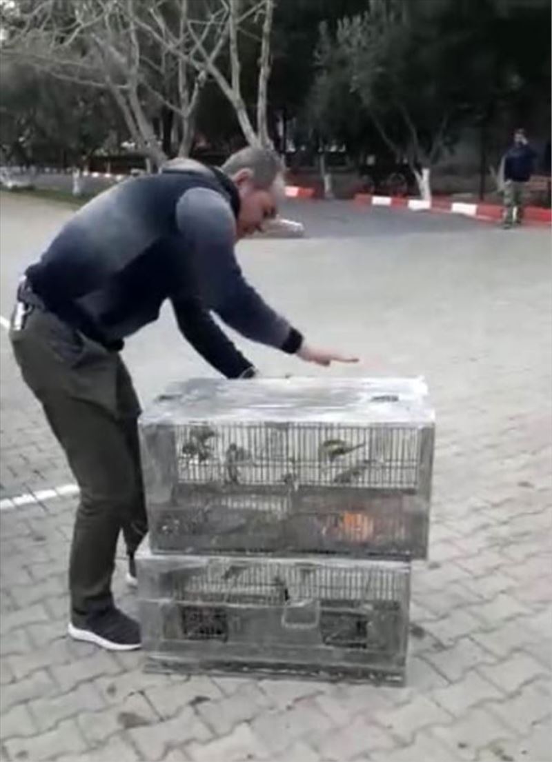 Su deposuna saklanmış 37 saka kuşu ele geçirildi