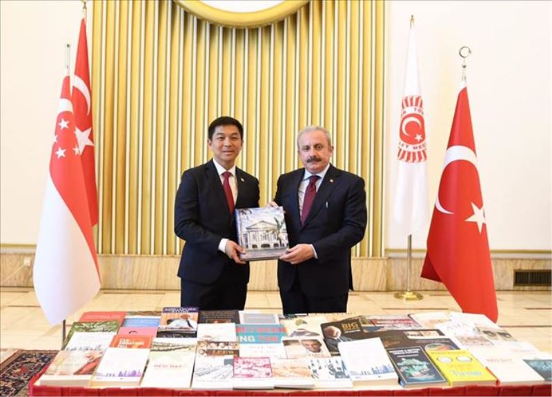 ŞENTOP; ÜLKEMİZİ BAŞARIYLA TEMSİL EDİYOR