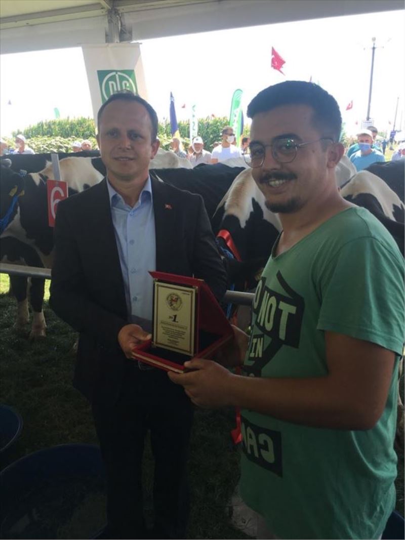 TEKİRDAĞ DSYB İNEK YARIŞMASINI DÜZENLEDİ 
