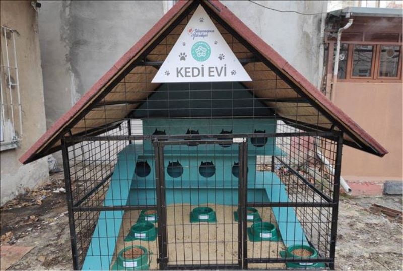 Kedi Oteli hizmete girdi