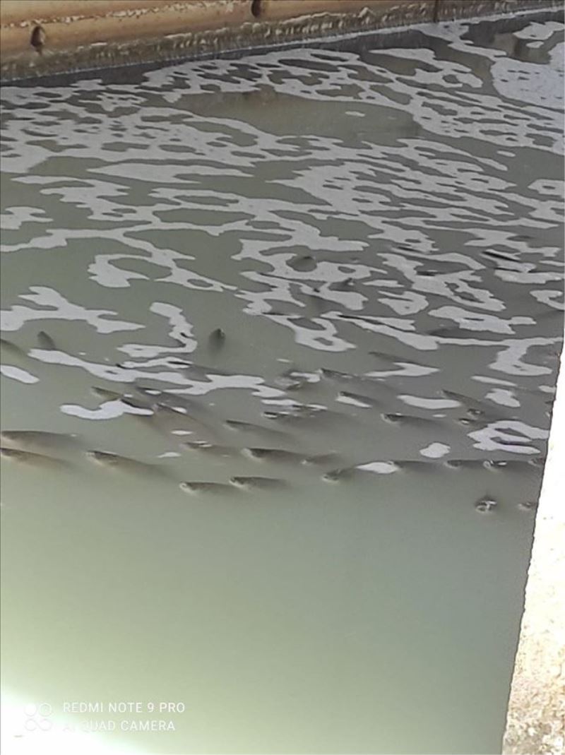 GÜNGÖR; “PARA İNSAN SAĞLIĞINDAN DAHA MI ÖNEMLİ?”